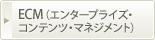 ＥＣＭ（エンタープライズ・コンテンツ・マネジメント）
