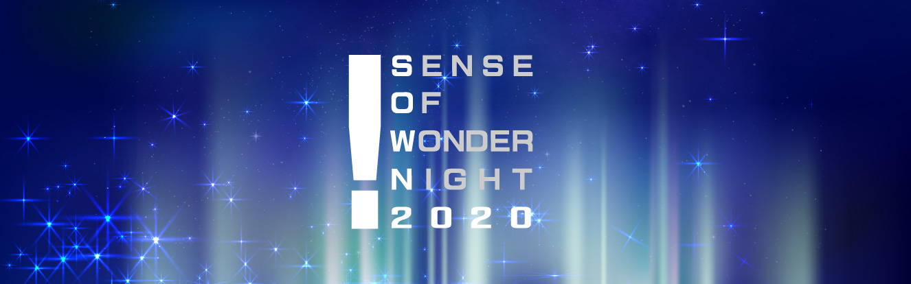 sence of wonder night